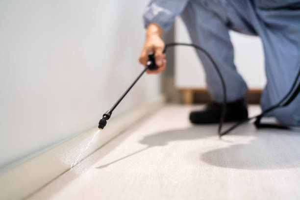 Licensed Pest Control service in Bidwell, OH - Show Me Pest Control