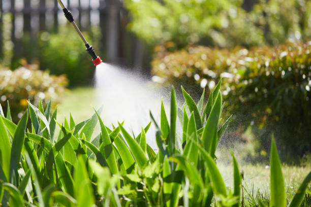 Tamper-Resistant Bait Stations for Rodents in Bidwell