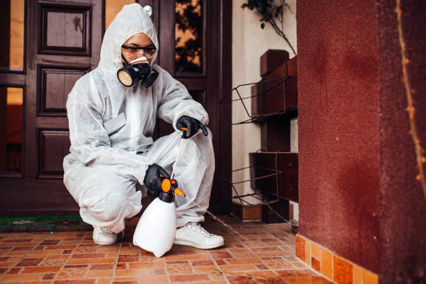 Attic and Crawl Space Rodent Treatment in Bidwell